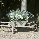 Bed & Breakfast Domaine Des Deux Cedres Gauriac