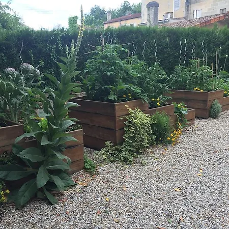 Bed & Breakfast Domaine Des Deux Cedres